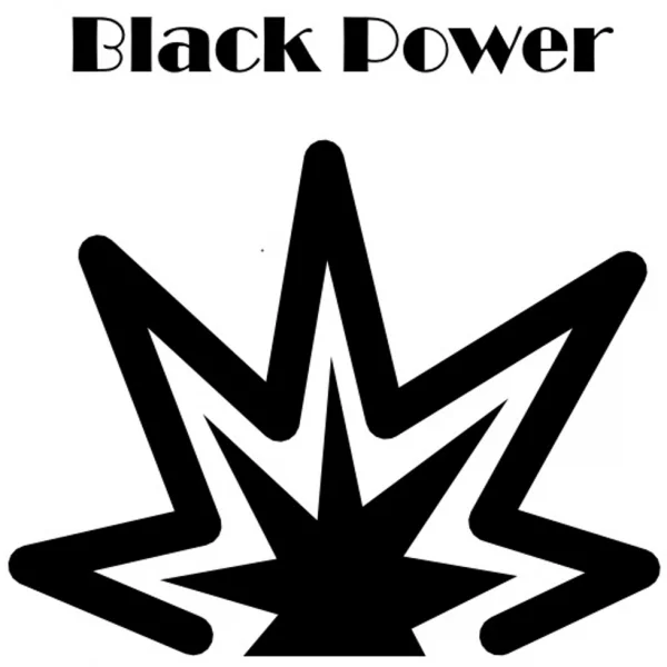 Black Power metaaldetector onderdelen