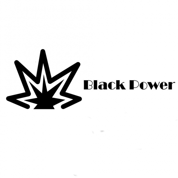 Black-power-metaaldetector